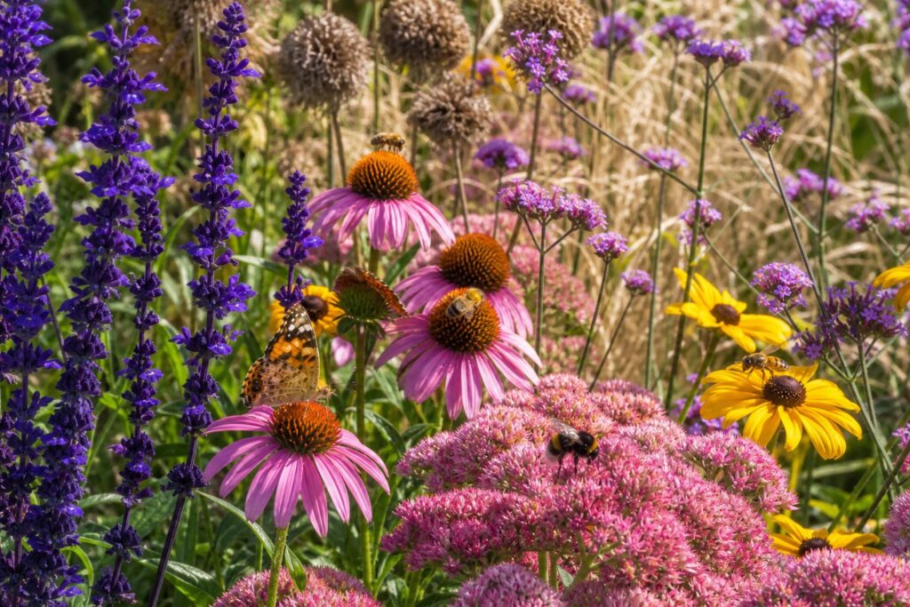 Abeilles, papillons, insectes : les plantes à installer pour transformer votre jardin en refuge vivant